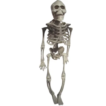 Reāli Mākslīgās Cilvēka Skelets Pievienot Lielu Halloween Vibe Halloween Puse Apdare