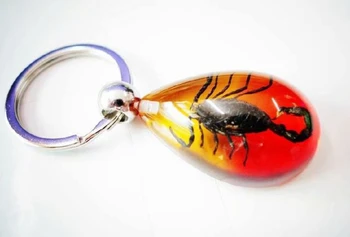 10 gab. keychain real black scorpion king nometiet krāsains dizains atslēgu gredzens